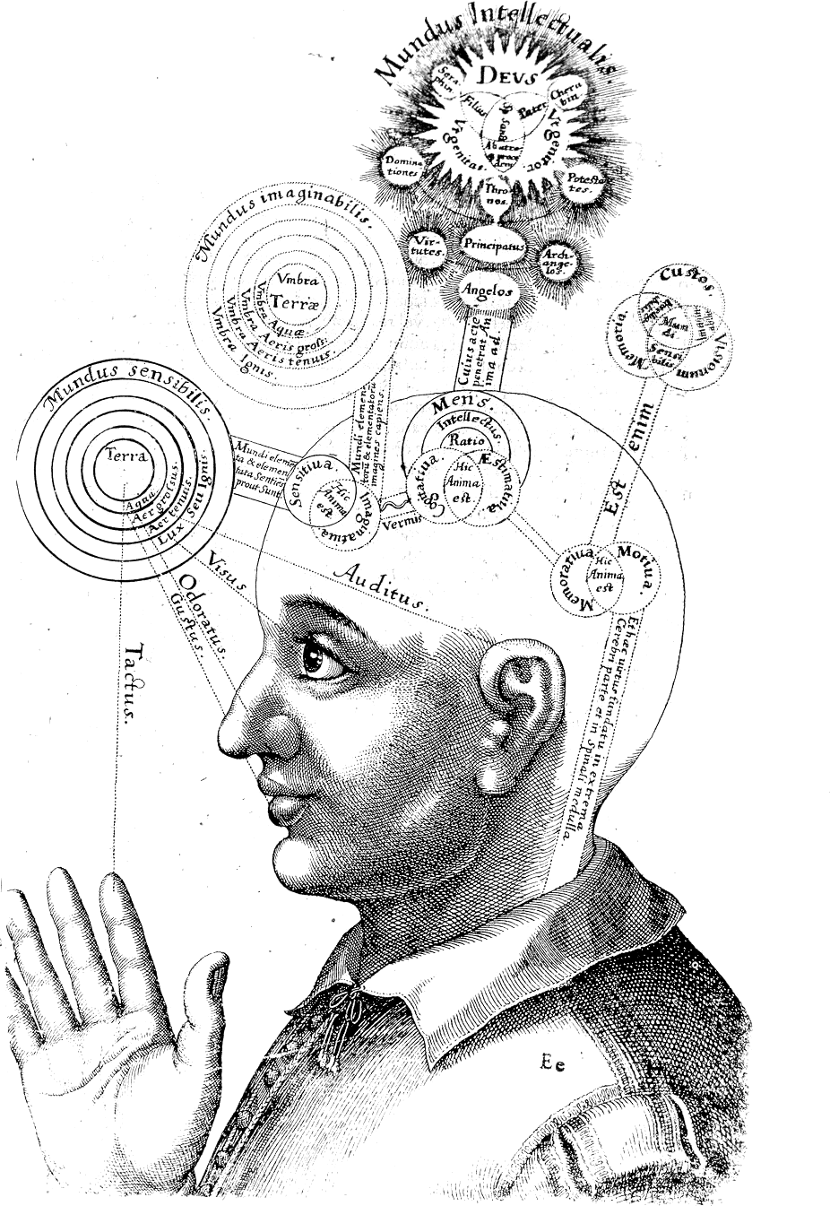 Consciousness: after “Is this page advice for Consciousness?”, what about “Are the scores a ranking of Consciousness?”?