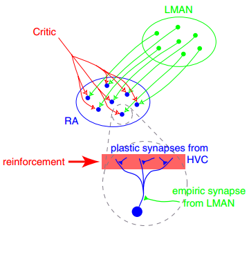Neuroplasticity: after “shareBlurb”, what about “why”?