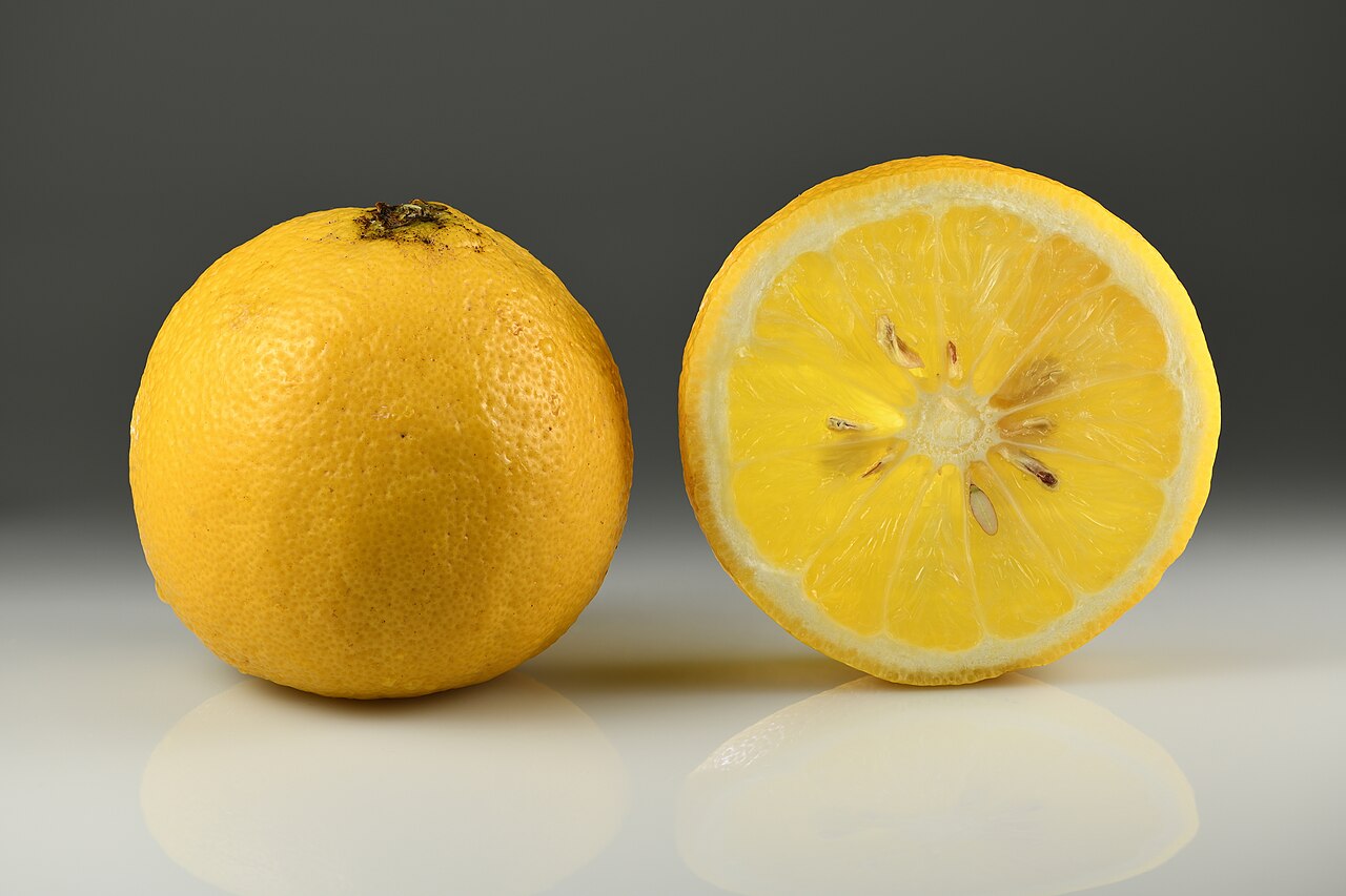 Citrus — Bergamot orange