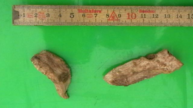 Iris & powdery — Orris root