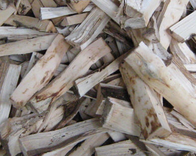 Agarwood — Southeast Asia