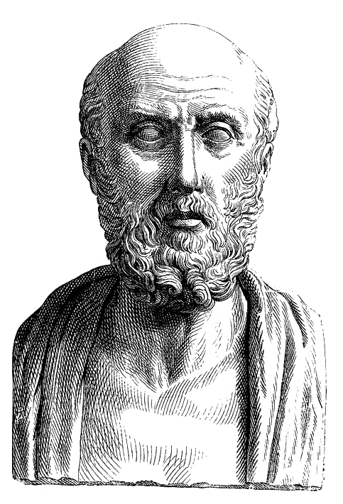 Ancient bust believed to depict Hippocrates of Kos