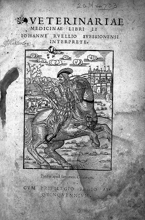 Illuminated manuscript depiction of a Byzantine-era horse doctor at work