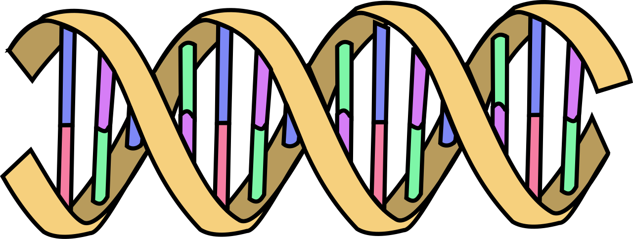 Biology: after “Biology studies living systems from molecules to ecosystems — ob”, what about “How long does a typical Biology degree take?”