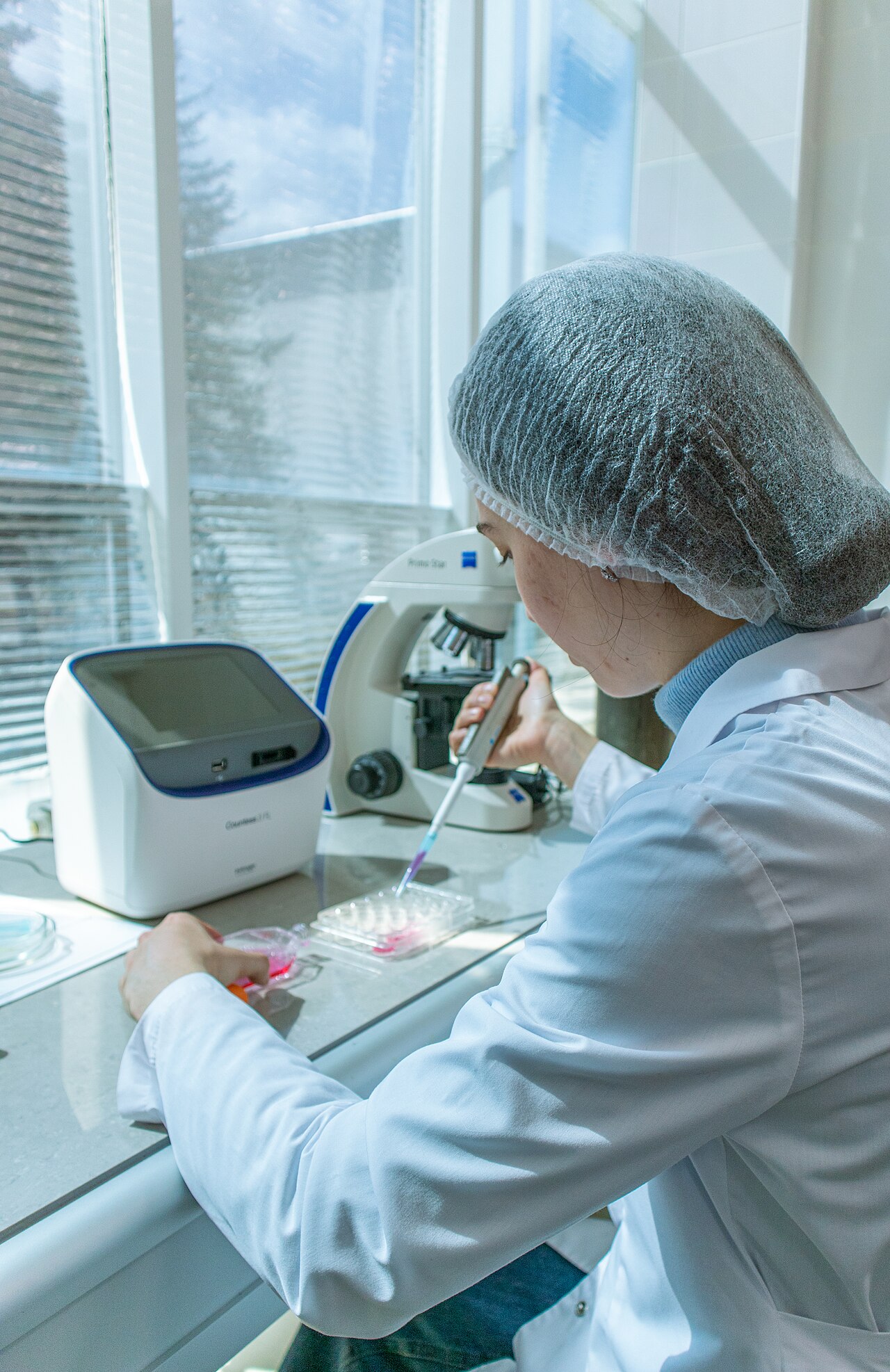 Biotechnology: after “How long does a typical Biotechnology degree take?”, what about “Do I need strong mathematics?”?