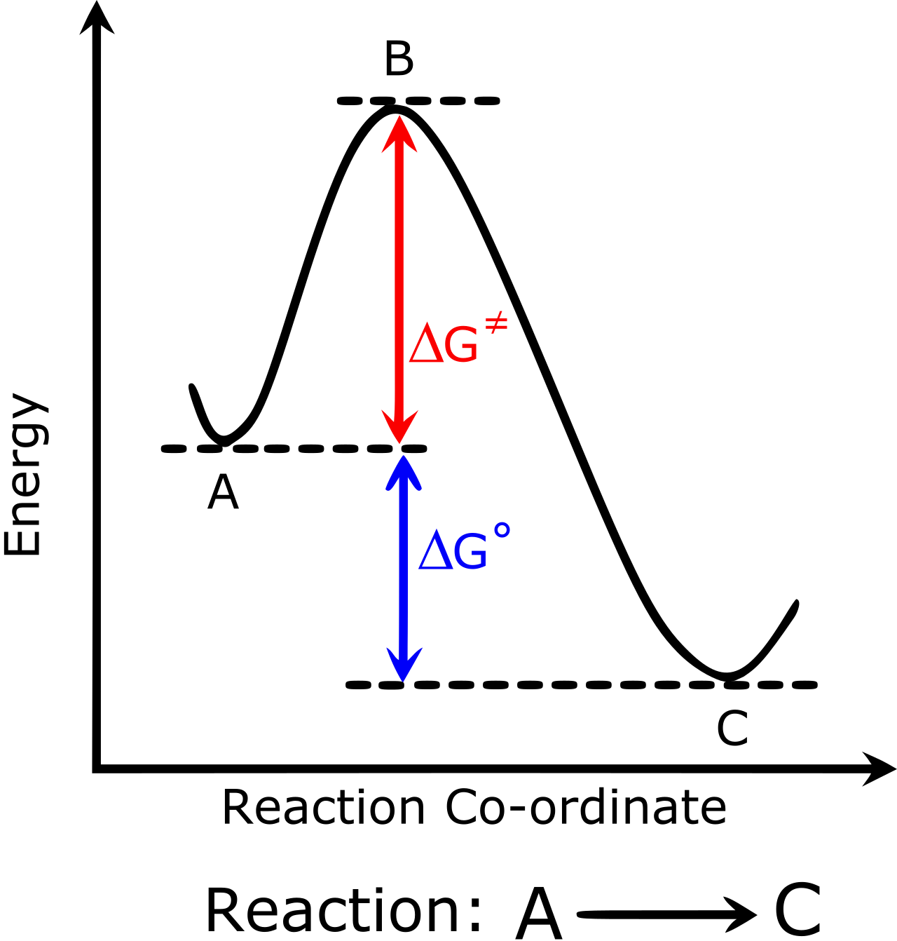 Chemistry: after “Chemistry is molecules and reactions — how substances change, bi”, what about “How long does a typical Chemistry degree ta