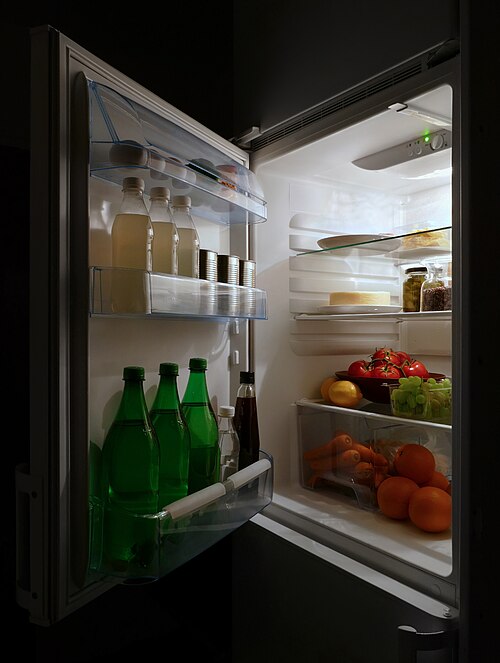 Japanese fridge VIP