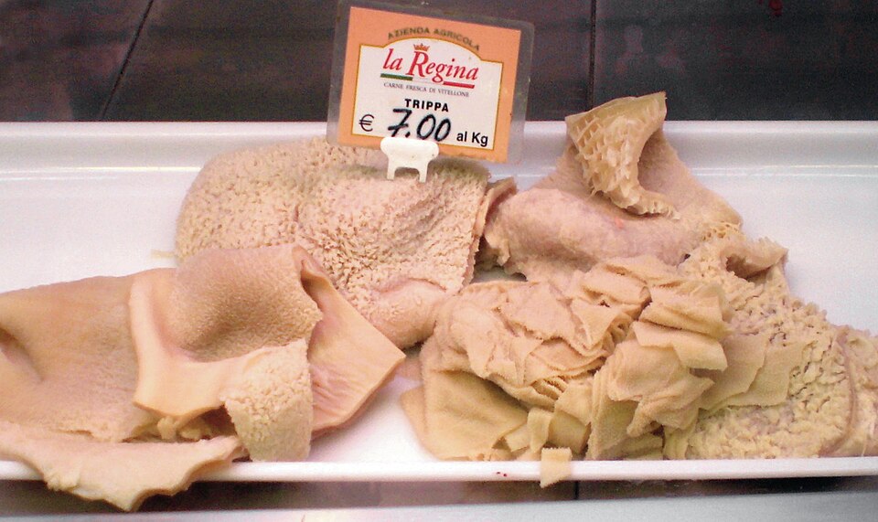 Abomasum