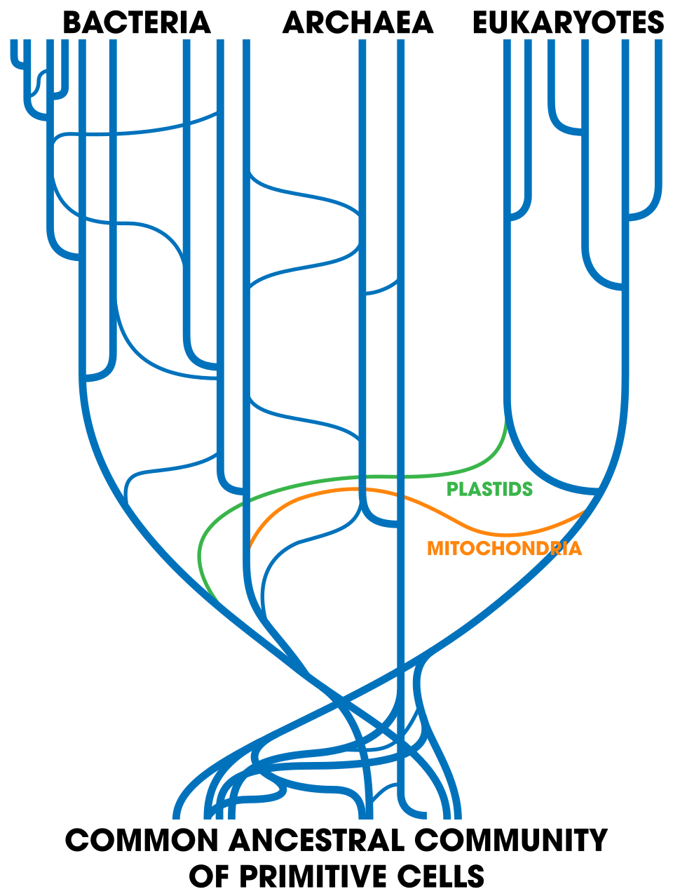 Horizontal gene transfer