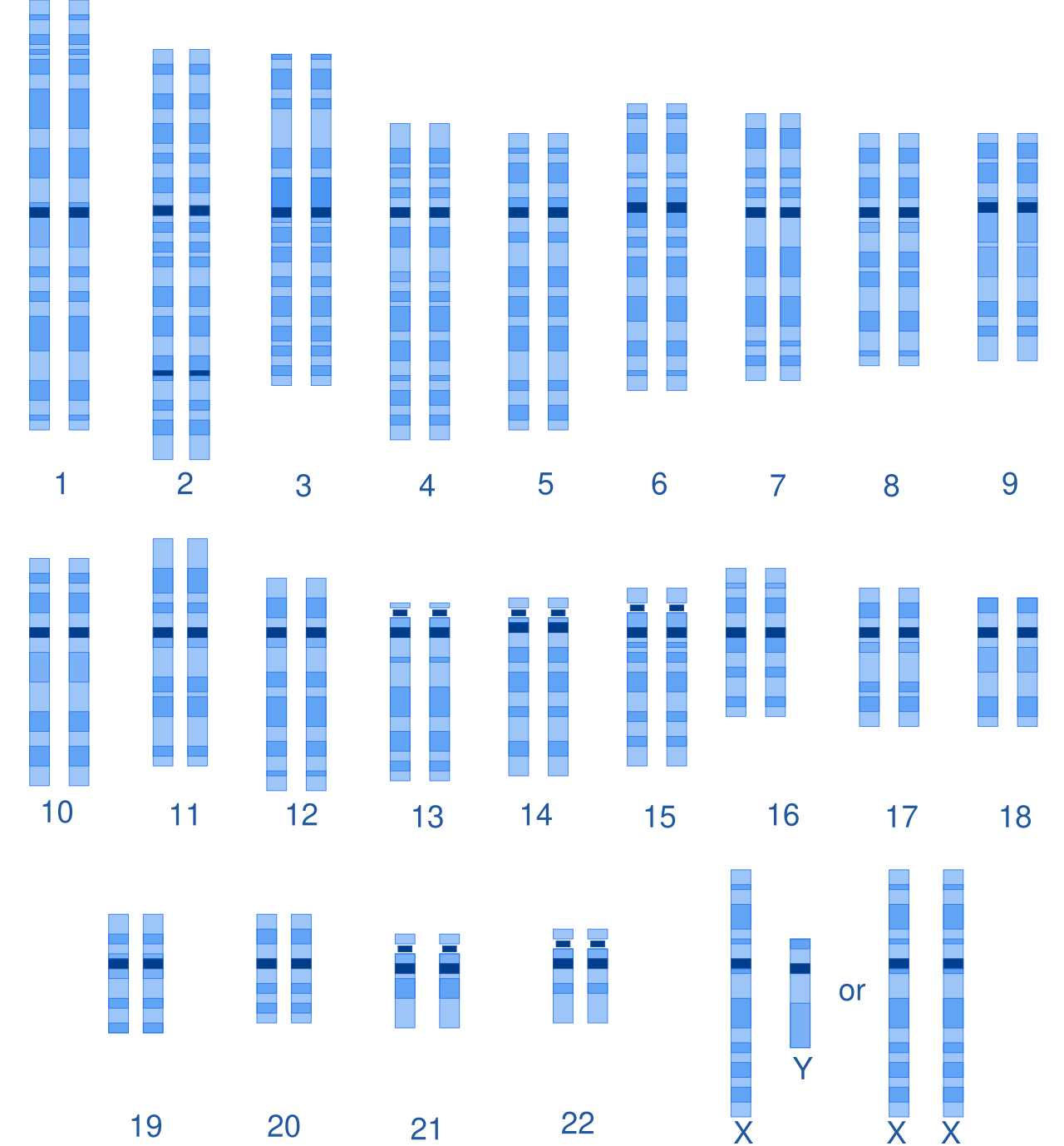 Illustration related to Genetic structure