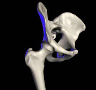Person performing a kneeling hip flexor stretch