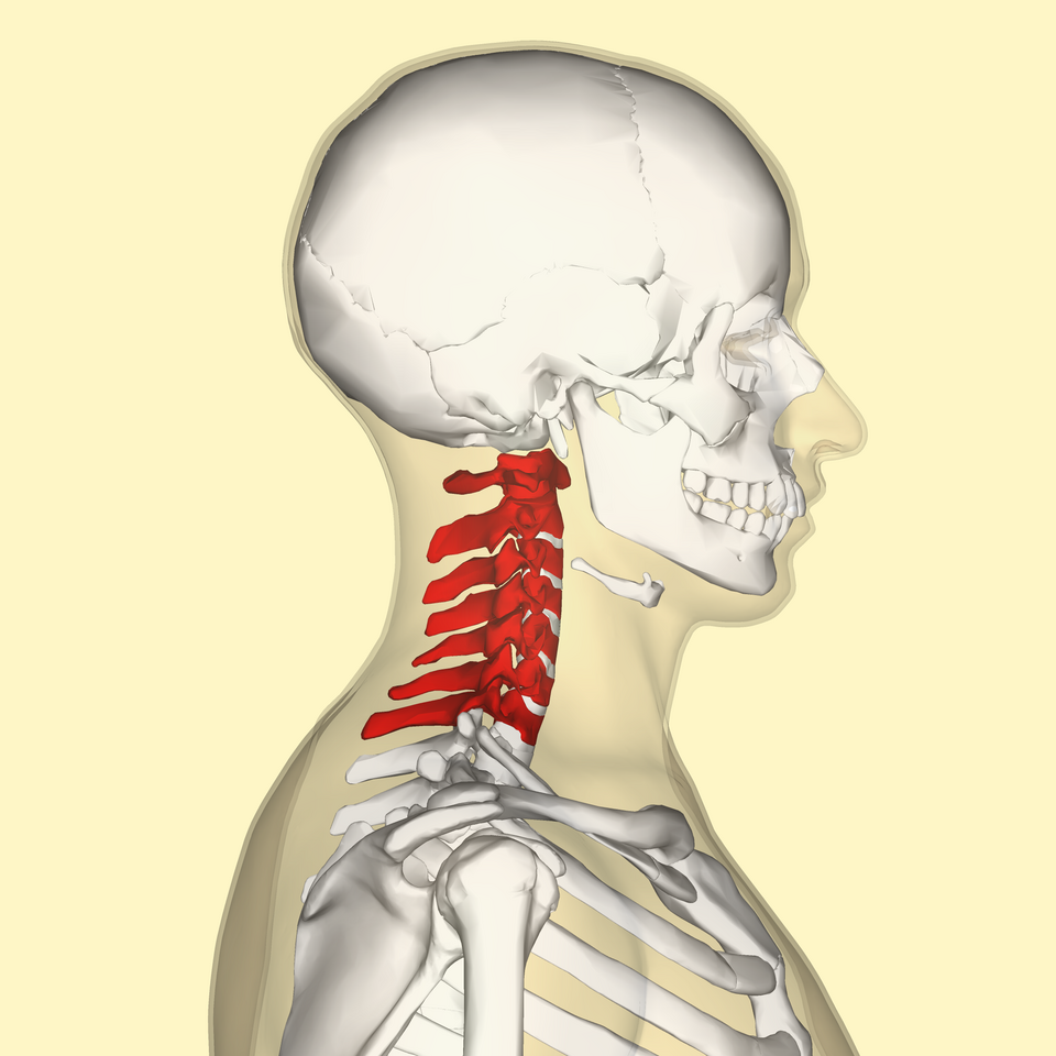 Neck isometric context