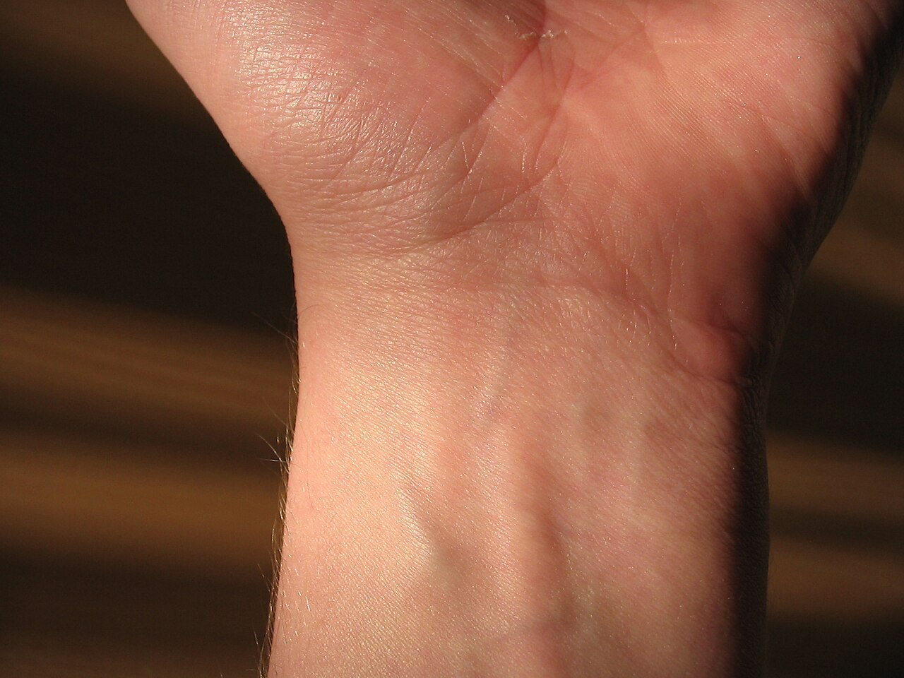 Wrist & Hand: after “tagline”, what about “This density of structure in a small space makes the region espe”?