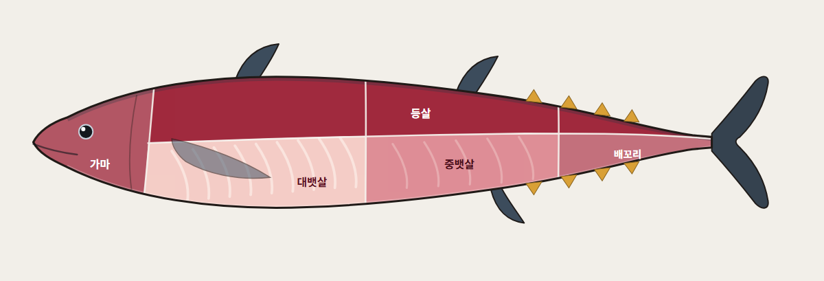 참다랑어 부위 — 부위도