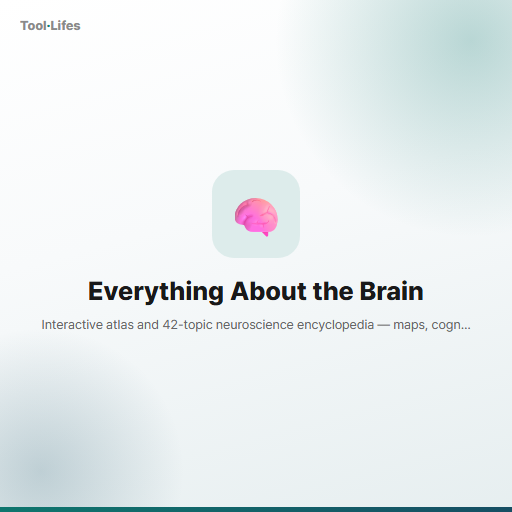 Everything About the Brain