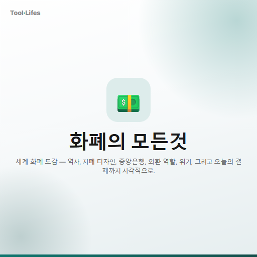 화폐의 모든것